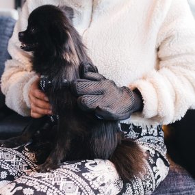 Katzen- und Hundepelz-handschuhe (1 Paar)