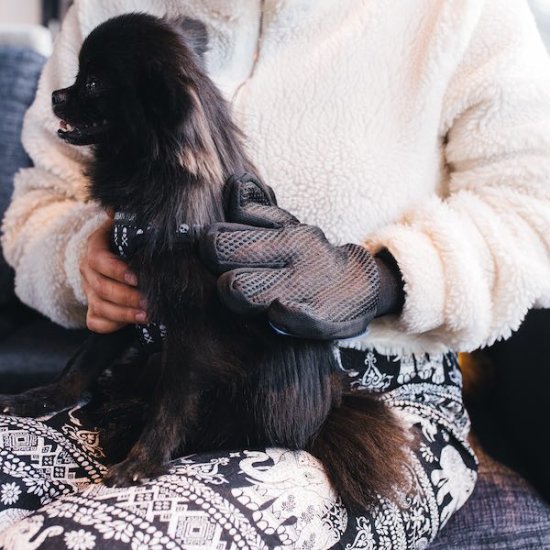 Katzen- und Hundepelz-handschuhe (1 Paar) - zum Schließen ins Bild klicken