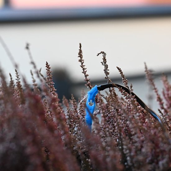 Automatische Blumenbewässerung (6er Pack) - zum Schließen ins Bild klicken