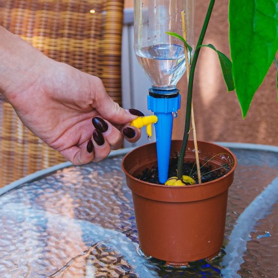 Automatische Blumenbewässerung (6er Pack) - zum Schließen ins Bild klicken