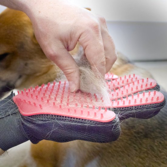 Katzen- und Hundepelz-handschuhe (1 Paar) - zum Schließen ins Bild klicken