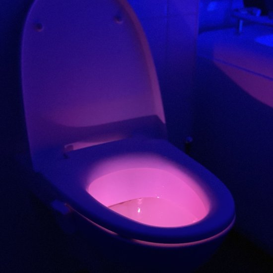 LED-Beleuchtung für die Toilette - zum Schließen ins Bild klicken