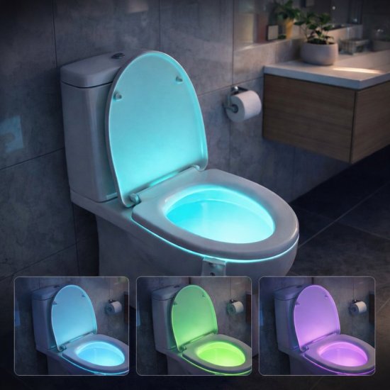 LED-Beleuchtung für die Toilette - zum Schließen ins Bild klicken