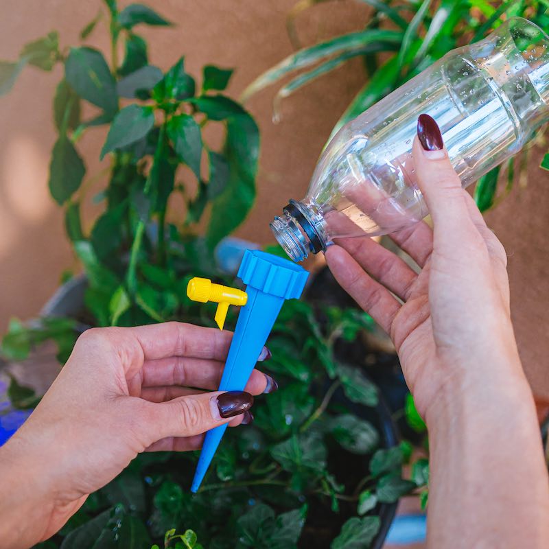 Automatische Blumenbewässerung (6er Pack)