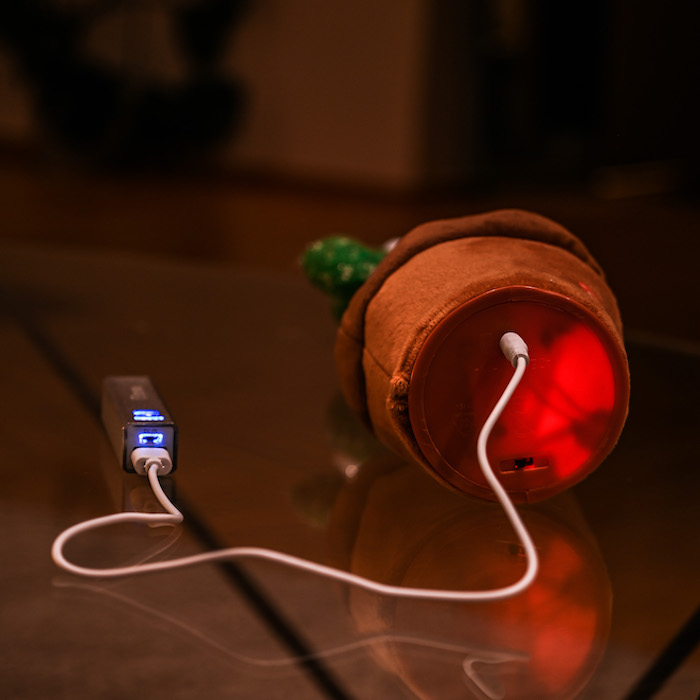Tanzender Kaktus mit USB